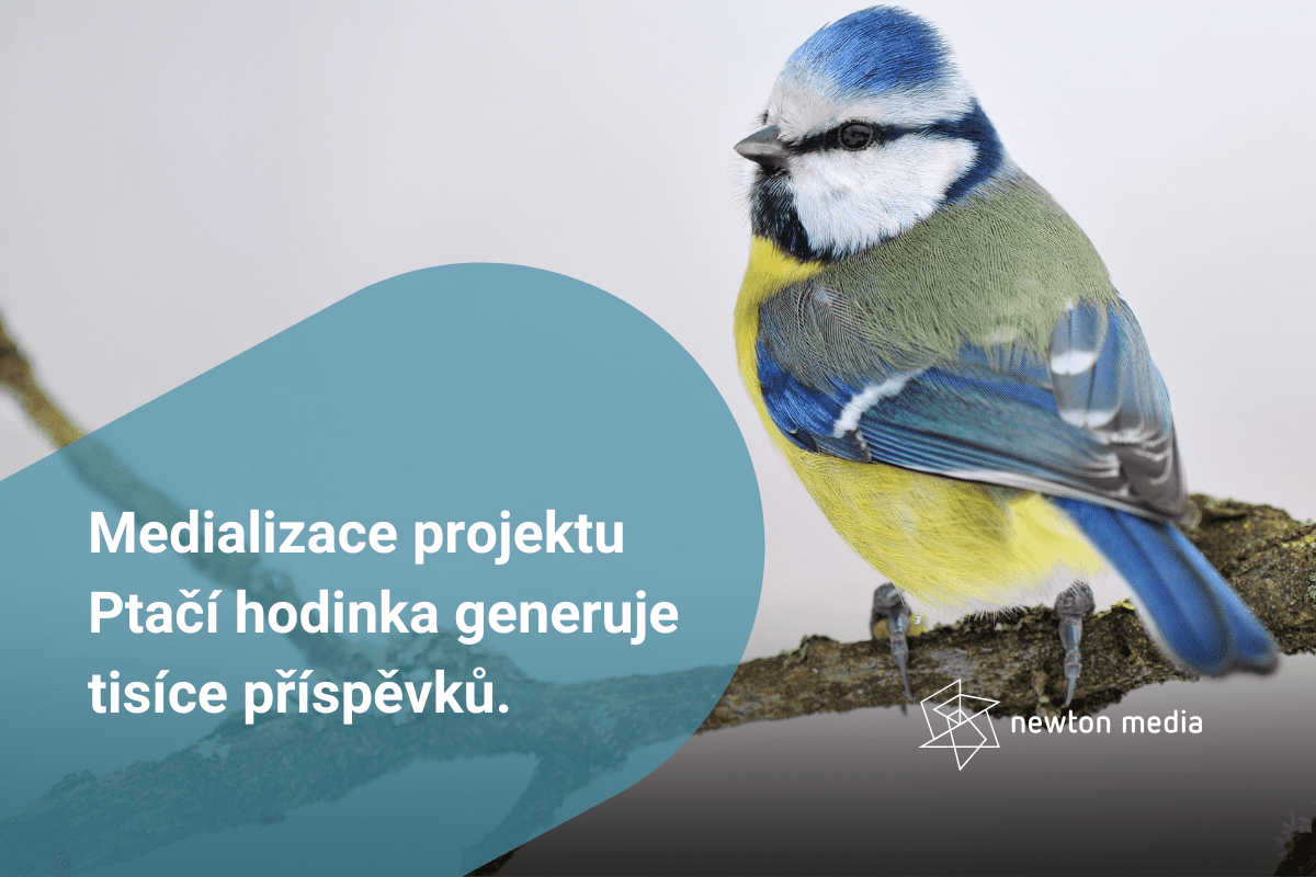 ptaci hodinka blog